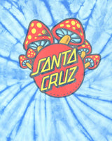 Vintage 00s Santa Cruz Tie Dye T-Shirt - M