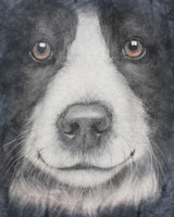 Vintage The Mountain Dog Graphic T-shirt - M