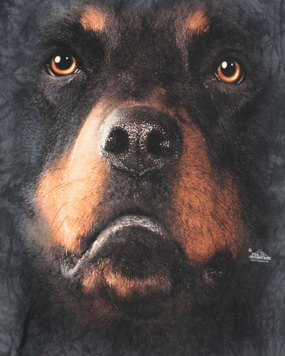 Vintage 2000's The Mountain Big Dog Face Graphic T-Shirt - M