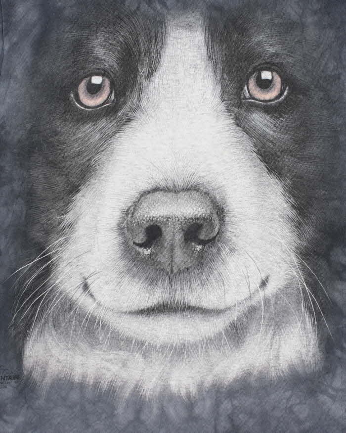 Vintage 2000's The Mountain Border Collie Graphic T-Shirt - S