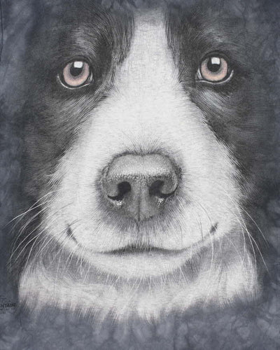 Vintage 2000's The Mountain Border Collie Graphic T-Shirt - S