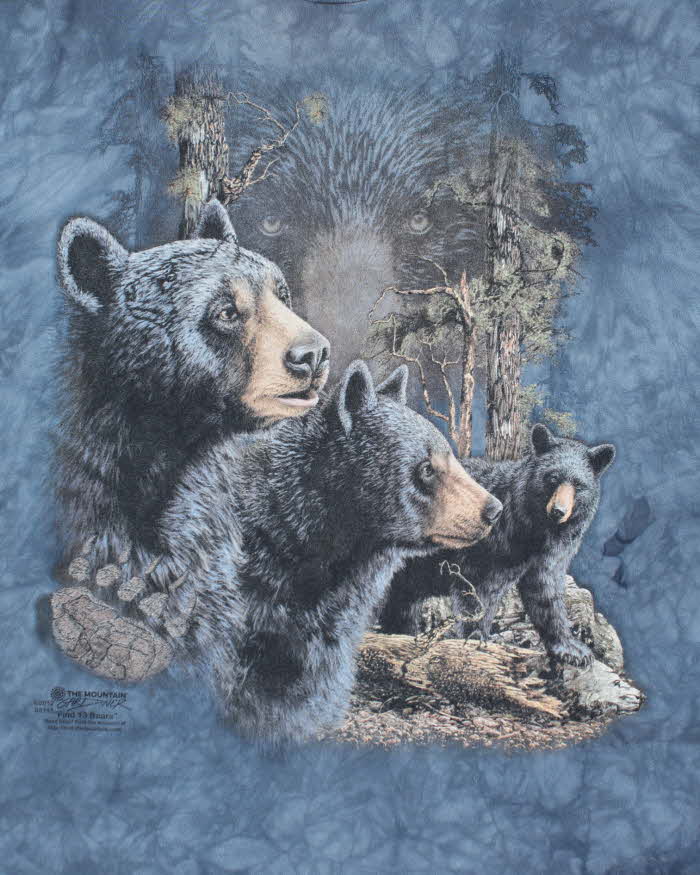 Vintage 2000's The Mountain A Sleuth of Bears Graphic T-Shirt - XXL