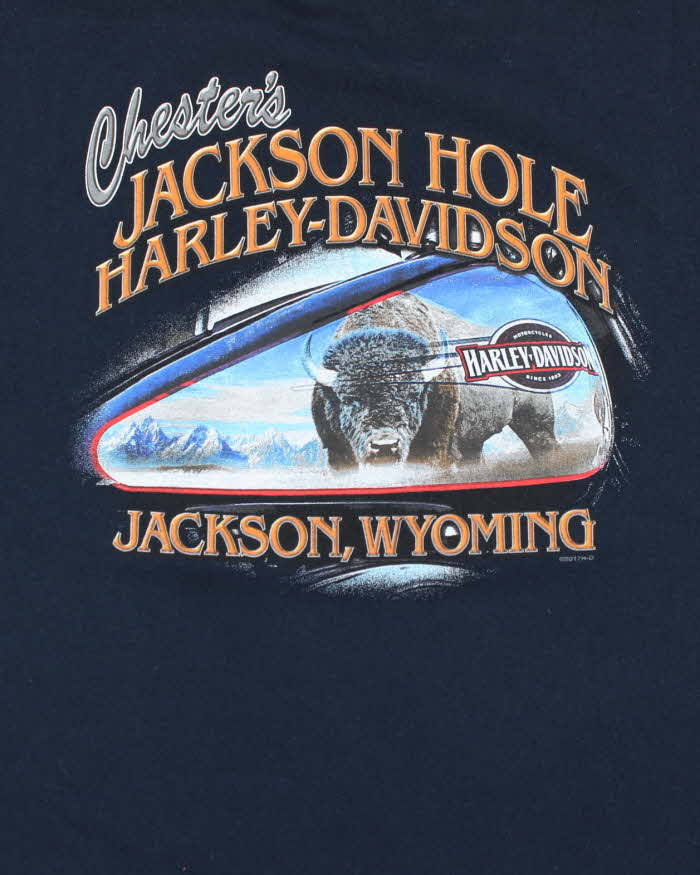 Vintage 2000's Harley Davidson Jackson's Hole Graphic T-Shirt - XL