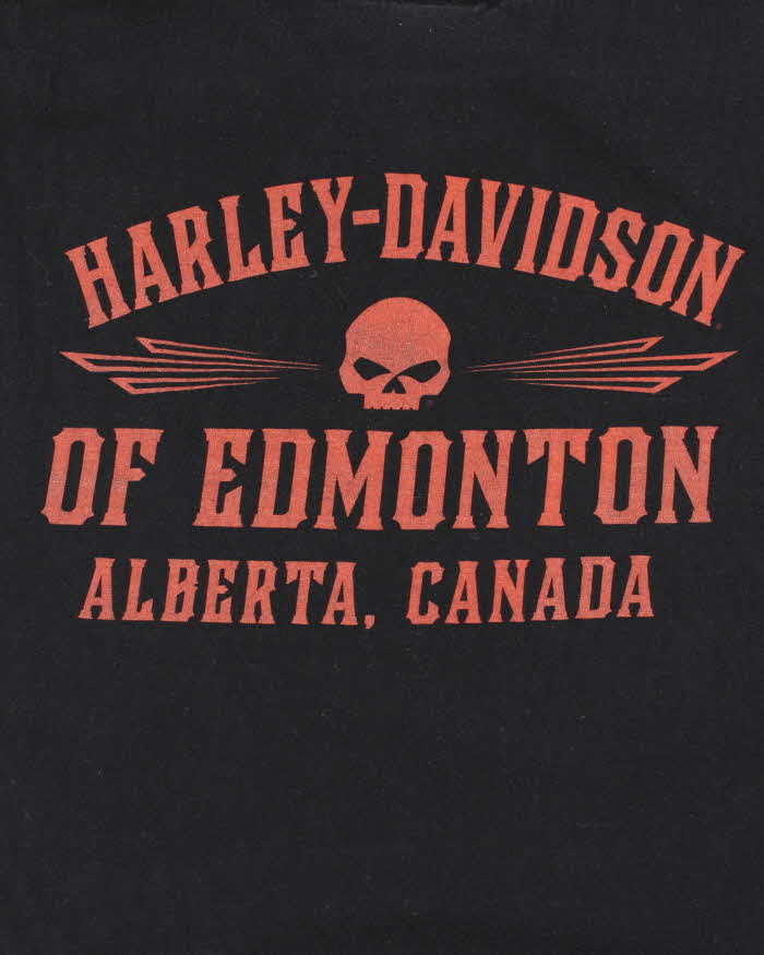 Vintage Y2k 00s Harley Davidson Graphic T-shirt - L