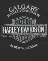 Vintage Y2k 00s Harley Davidson Graphic T-shirt - L