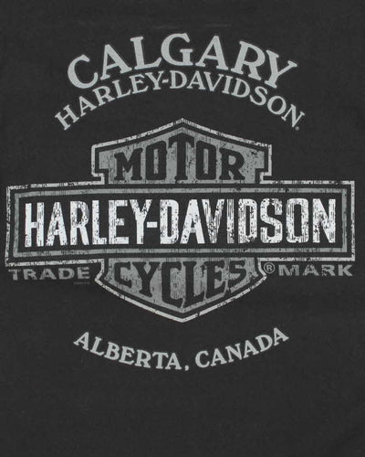 Vintage Y2k 00s Harley Davidson Graphic T-shirt - L