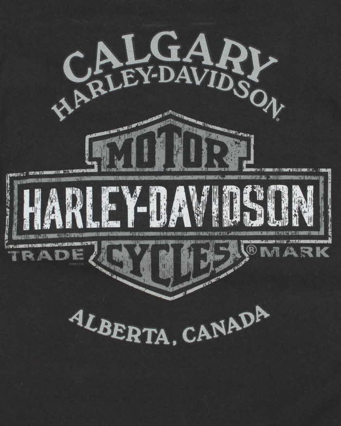 Vintage Y2k 00s Harley Davidson Graphic T-shirt - L