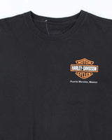 Vintage Y2k 00s Harley Davidson Graphic T-shirt - L