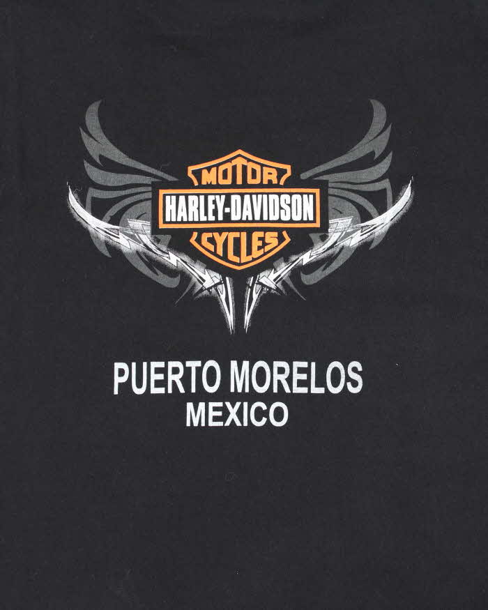 Vintage Y2k 00s Harley Davidson Graphic T-shirt - L