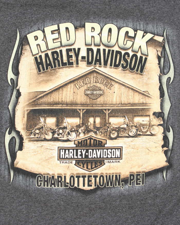 Vintage Y2k 00s Harley Davidson Graphic T-shirt - L