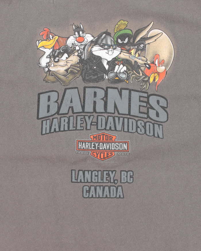 Vintage Y2k 00s Harley Davidson Looney Tunes T-shirt - XL