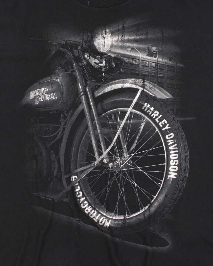 Vintage 2000's Harley Davidson Motorbike Graphic T-Shirt - XL