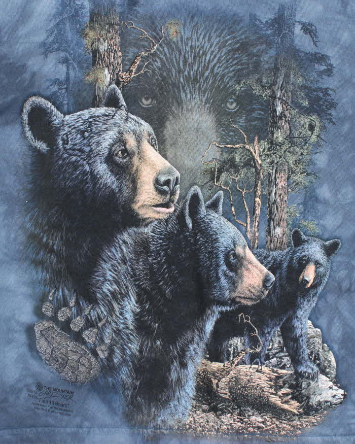 Vintage 2000's The Mountain Bear Graphic T-Shirt - S