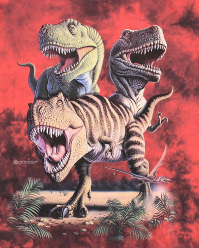 The Mountain Red Tie-Dye Dinosaur Graphic T-Shirt - XL