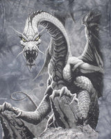 Vintage Y2k 00s The Mountain Dragon T-shirt - S