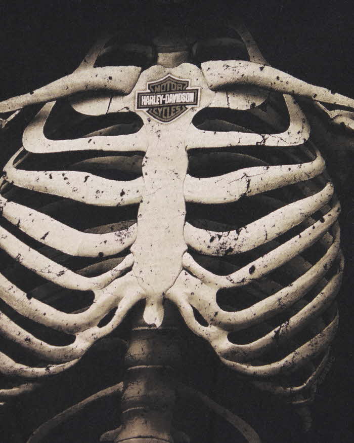 Vintage Harley Davidson Skeleton Long Sleeve T-shirt - L