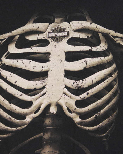 Vintage Harley Davidson Skeleton Long Sleeve T-shirt - L
