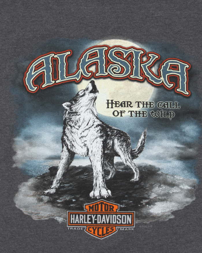 Vintage Harley Davidson Wolf T-shirt - M