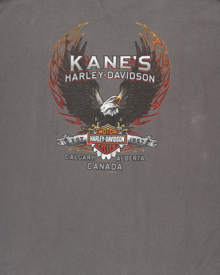 Vintage Harley Davidson Calgary Canada Graphic Crewneck T-Shirt - XXXL