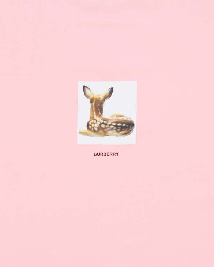 Burberry 2019 Fawn Collection Baby Pink Crewneck Oversized T-Shirt - XS
