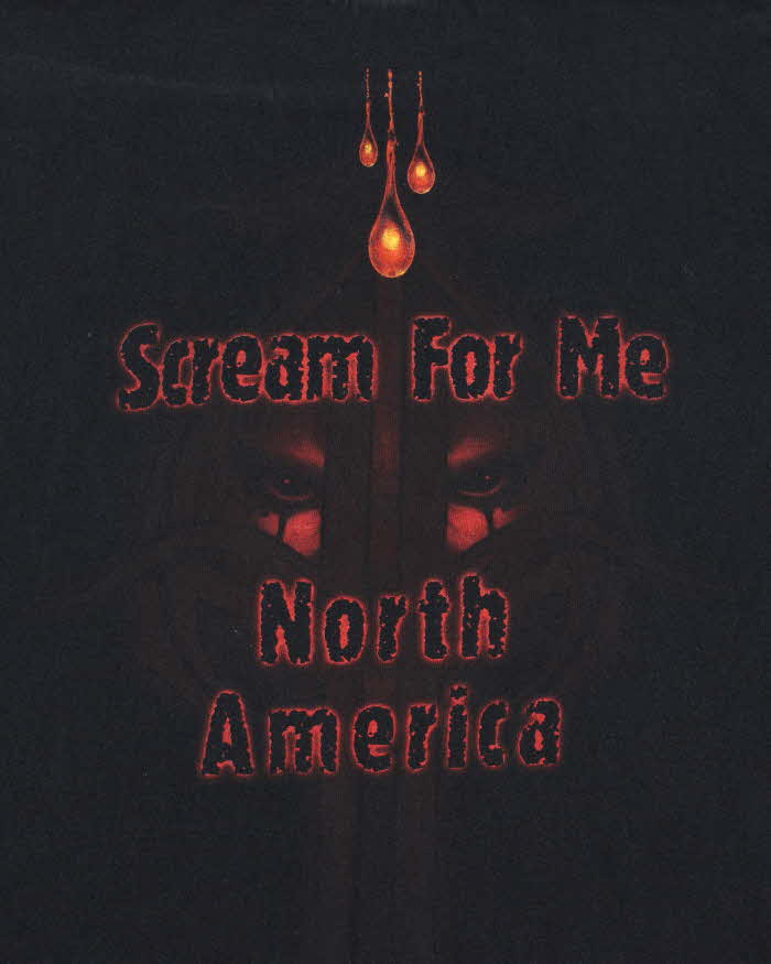 Vintage 2008 Anvil Sonat Arctica North American Tour Crewneck T-Shirt - L