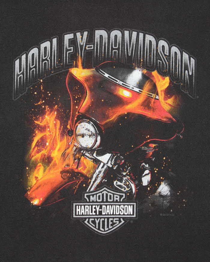 Vintage Harley Davidson Mississauga Flame Crewneck T-Shirt - XL