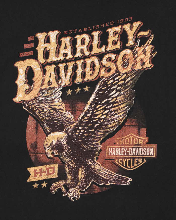 Vintage Harley Davidson New Orleans Louisiana Crewneck T-Shirt - XL