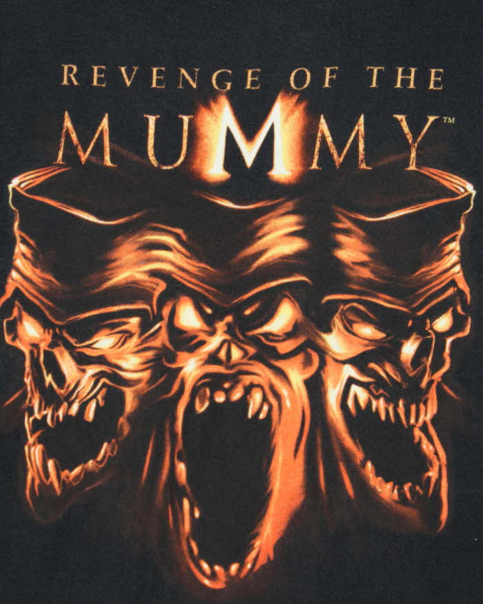 Vintage 2004 Universal Studios Revenge Of The Mummy Promo Crewneck T-Shirt - L