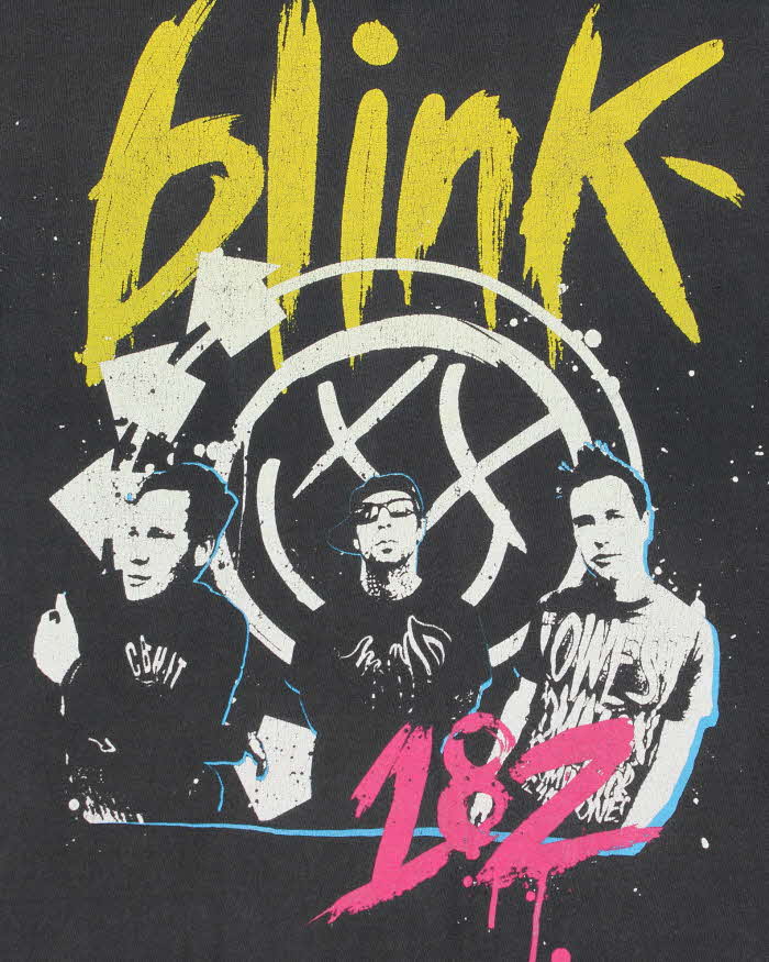 Vintage Blink 182 Summer Americas Tour Faded Crewneck T-Shirt - M