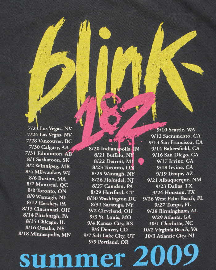 Vintage Blink 182 Summer Americas Tour Faded Crewneck T-Shirt - M