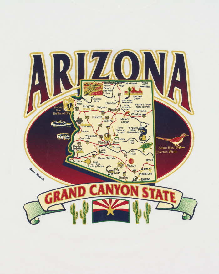 Vintage Y2K 00s Arizona State Anvil Preshrunk Heavyweight Crewneck T-Shirt - XL