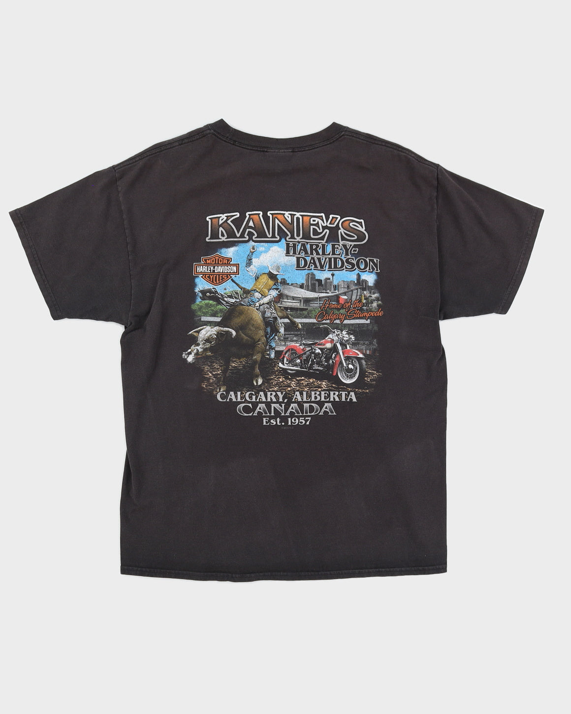 Harley Davidson Skeleton Motorbike T-Shirt - L