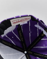 Mitchell &amp; Ness Toronto Raptors Coors Light NBA Striped Snapback - OS