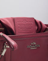 Coach Pink Leather Crossbody Bag