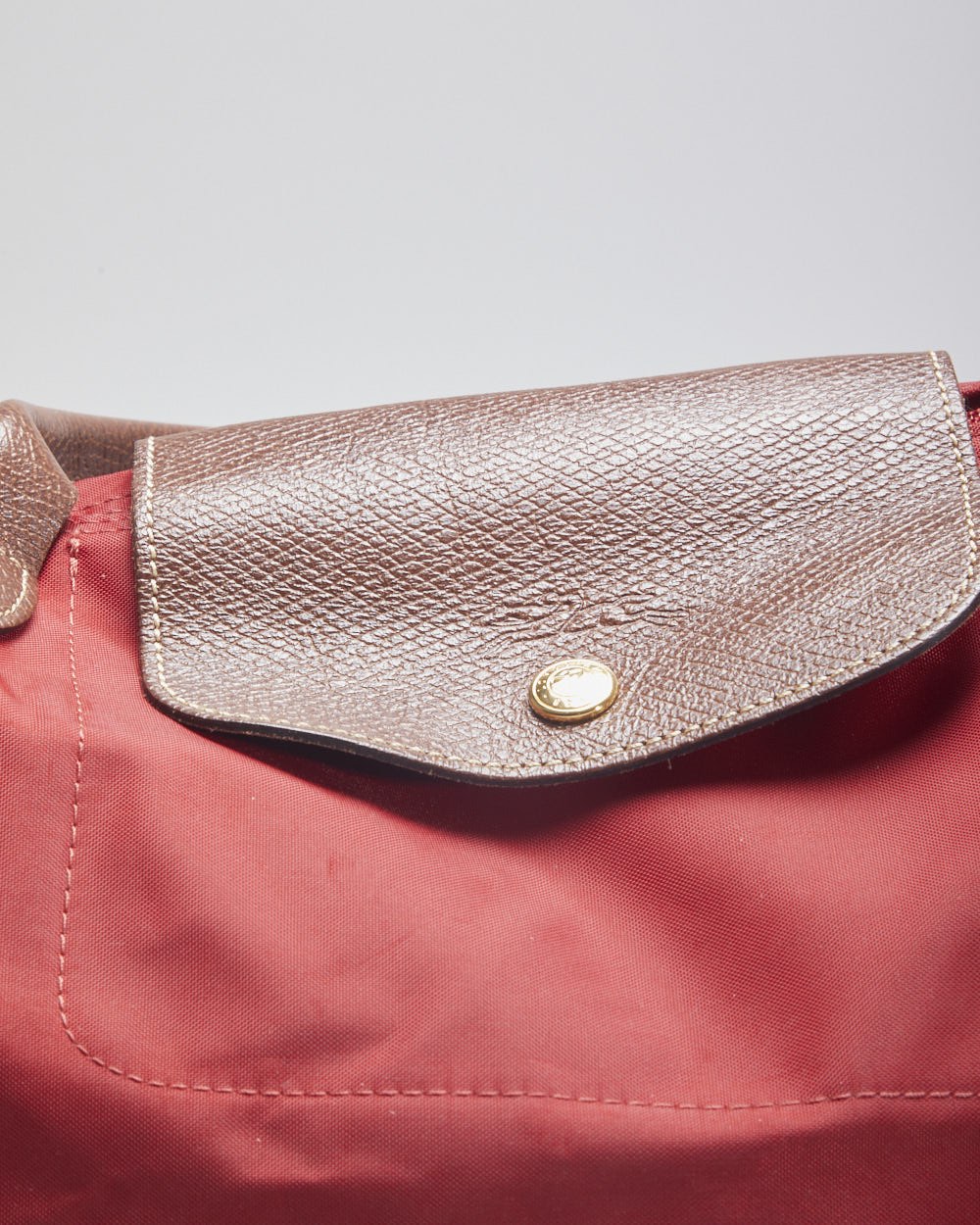 Longchamp Le Pilage Tote Bag