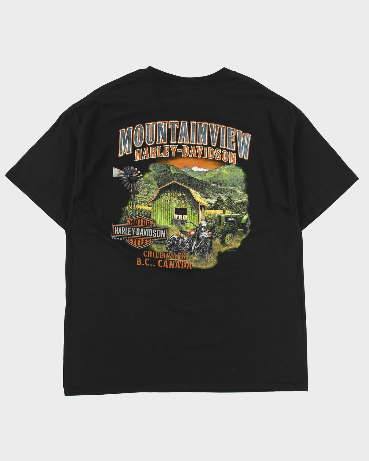 Vintage Harley Davidson Mountainview Chilliwack B.C. Heavyweight Crewneck T-Shirt - XL