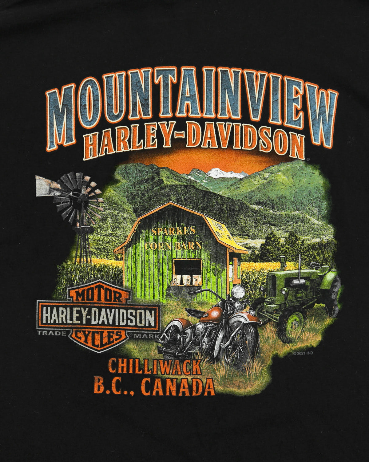 Vintage Harley Davidson Mountainview Chilliwack B.C. Heavyweight Crewneck T-Shirt - XL
