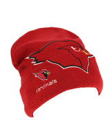 Vintage NFL Arizona Cardinals beanie hat