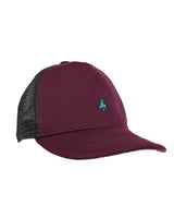 Vintage Salomon snapback