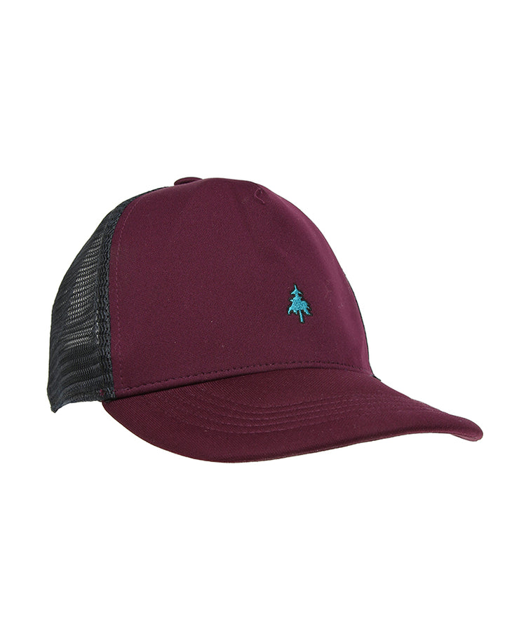 Vintage Salomon snapback