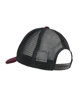 Vintage Salomon snapback
