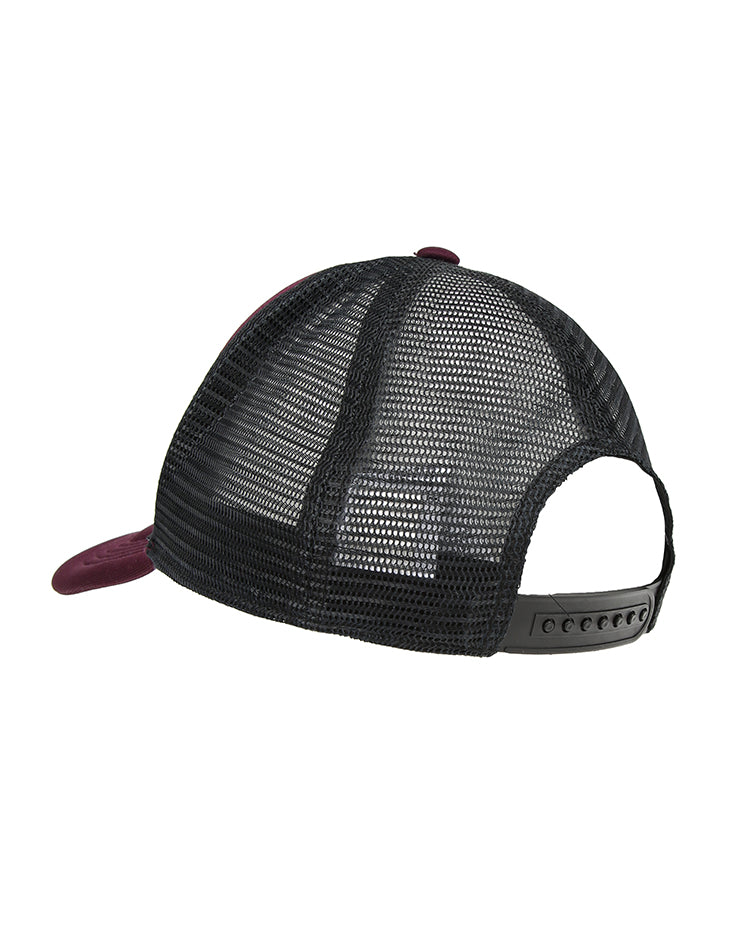 Vintage Salomon snapback