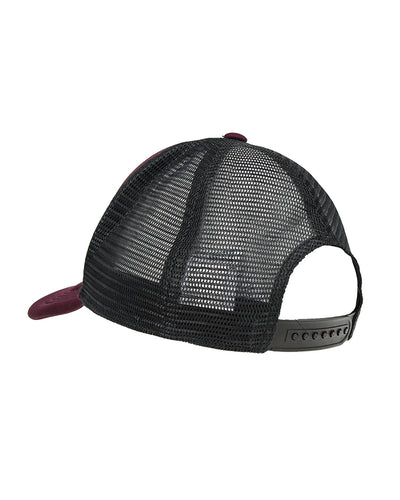 Vintage Salomon snapback