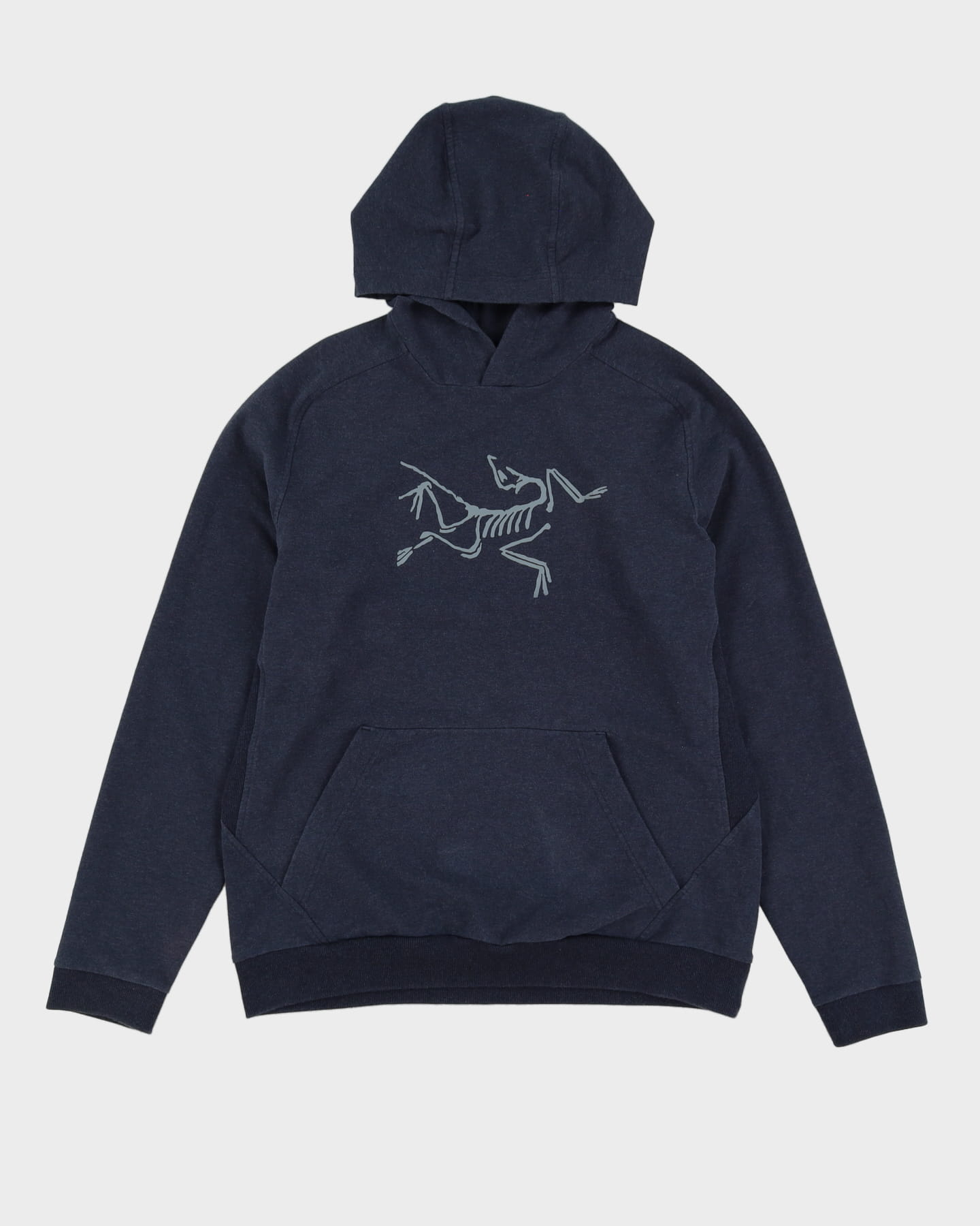Arc'Teryx Blue Hoodie - L