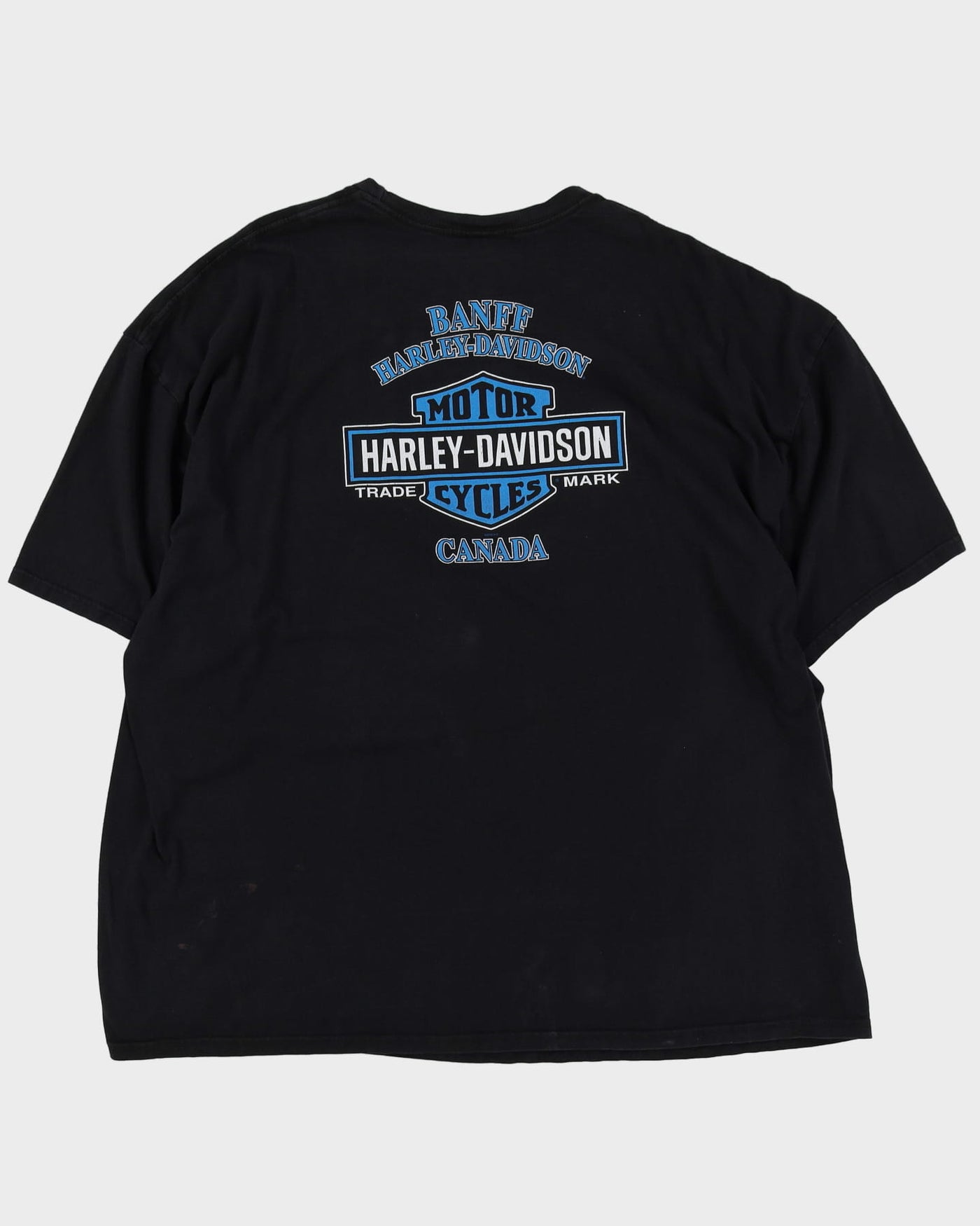 Harley Davidson Banff Bear Black Graphic T-Shirt - XXXL