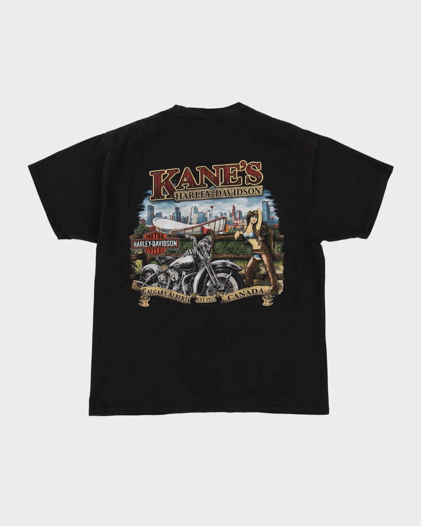 2013 Harley Davidson Black Work Sucks It's Time To Ride Graphic T-Shirt - L