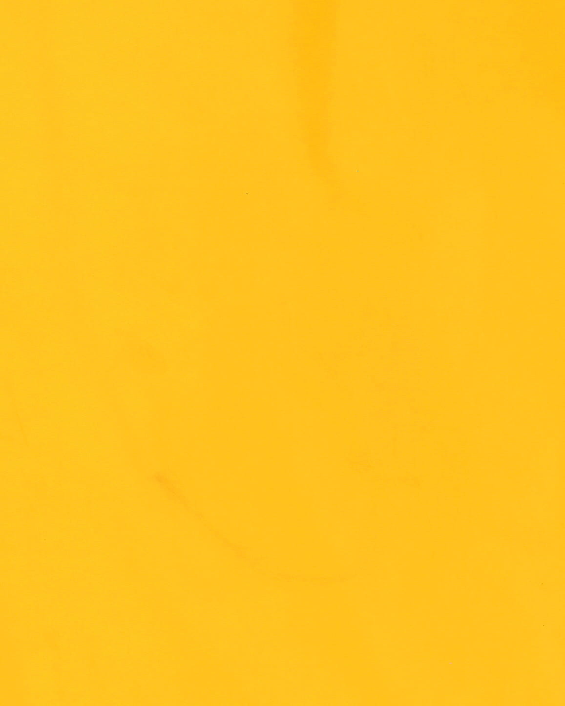 Helly Hansen Workwear Yellow Waterproof Tracksuit Bottoms - S