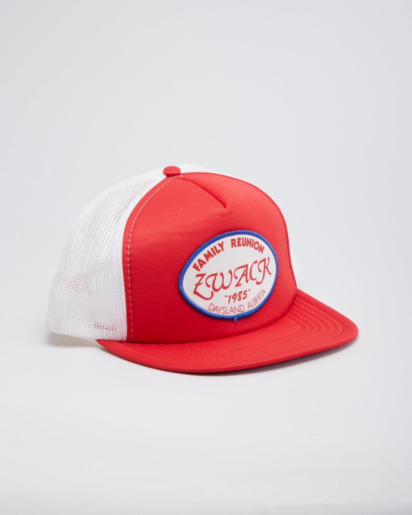 Vintage 1985 Family Reunion Slogan Red / White Snapback Trucker Hat