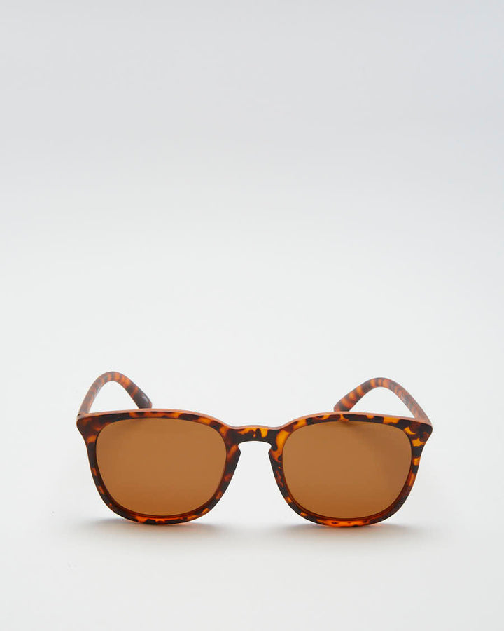 Dean Pol Brown Sunglasses