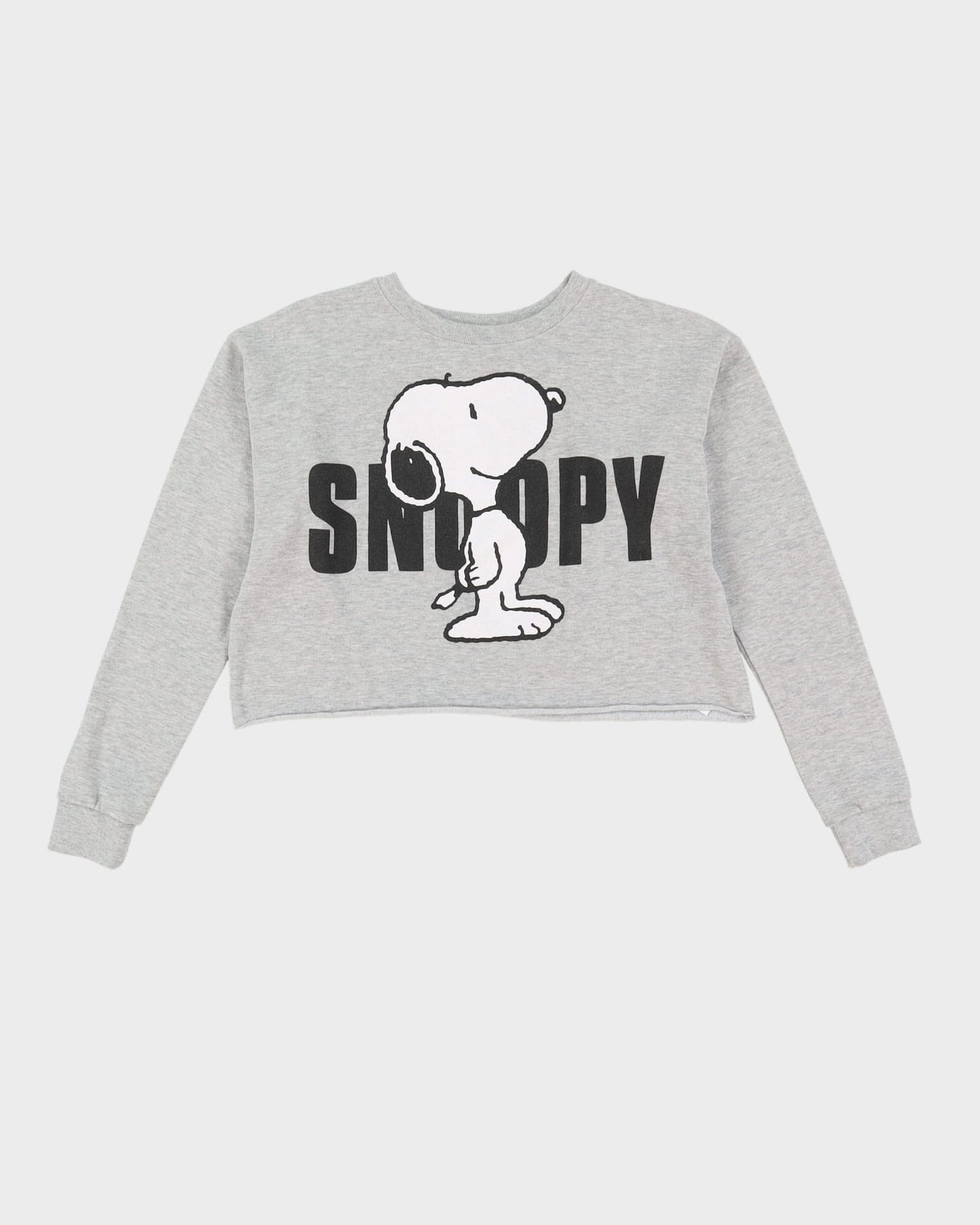 00s Peanuts Snoopy Grey Cropped Sweatshirt - S